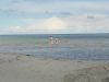 Kinder Ins Wasser